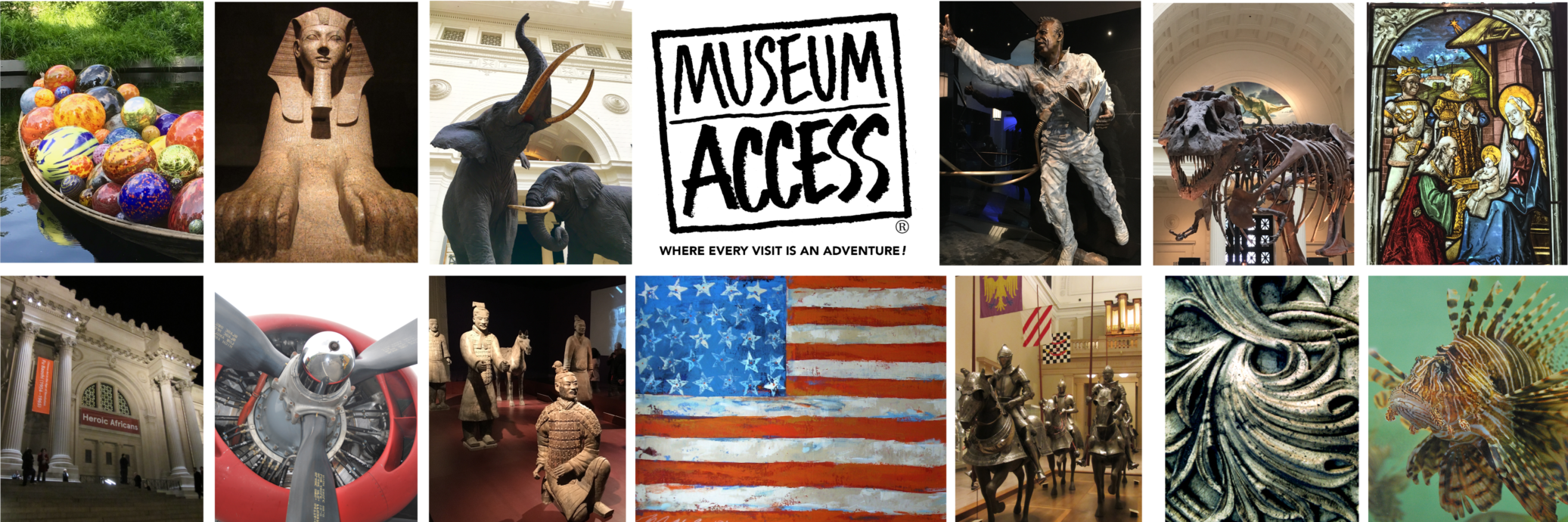 About Museum Access Header